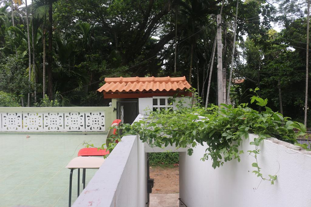 Jungle Guest House Galle Eksteriør billede