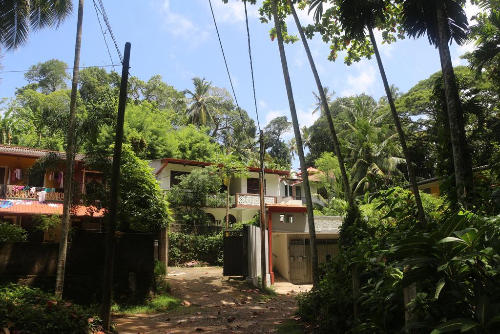 Jungle Guest House Galle Eksteriør billede