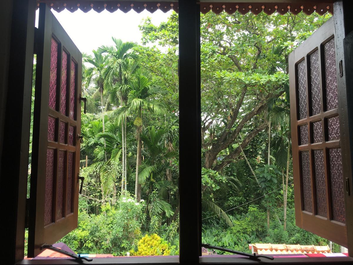 Jungle Guest House Galle Eksteriør billede